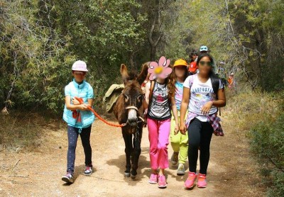 Donkey trekking 6