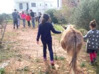 1η επίσκεψη στο ΔΕΣ