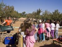 Getting to know and care for the donkey