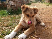 Και το όνομα αυτού, Σπόρος!